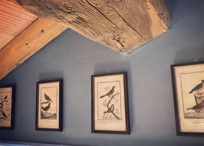 Podere Merlo Panzió