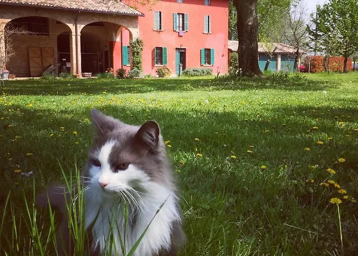 Panzió Podere Merlo 4*