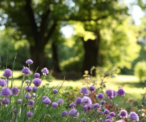Panzió Podere Merlo 4*