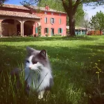 Отель типа 