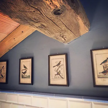 Podere Merlo 住宿加早餐酒店