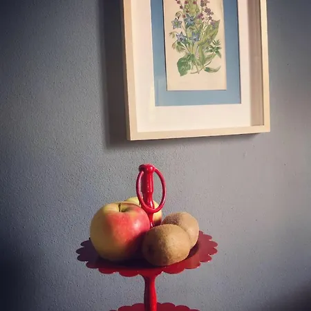 住宿加早餐酒店 Podere Merlo