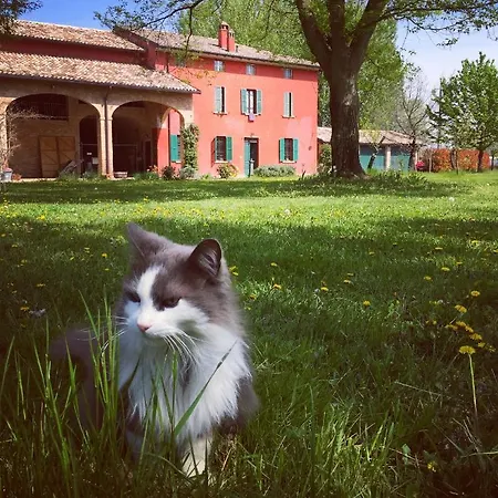 Panzió Podere Merlo 4*