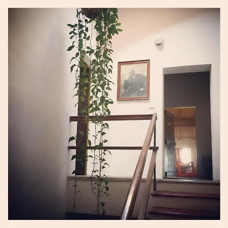 Podere Merlo לינה וארוחת בוקר פארמה