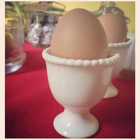 לינה וארוחת בוקר Podere Merlo 4*