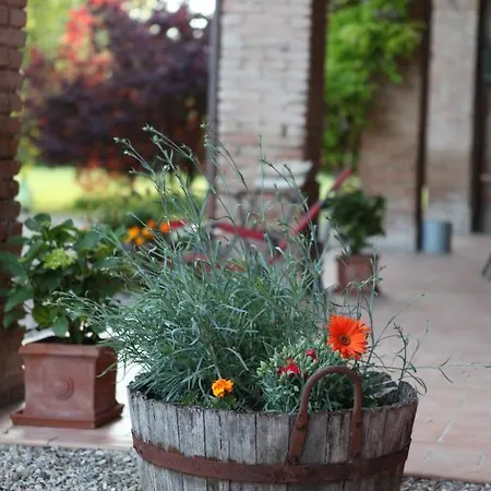 Podere Merlo *