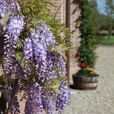 住宿加早餐酒店 Podere Merlo