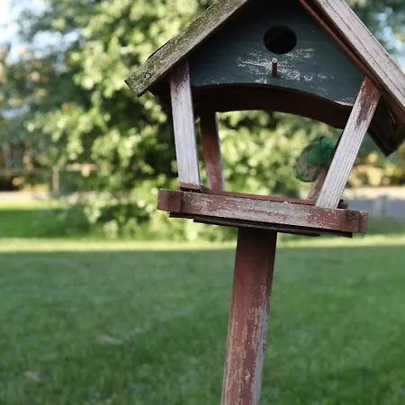 Panzió Podere Merlo