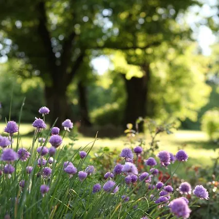 לינה וארוחת בוקר Podere Merlo 4*