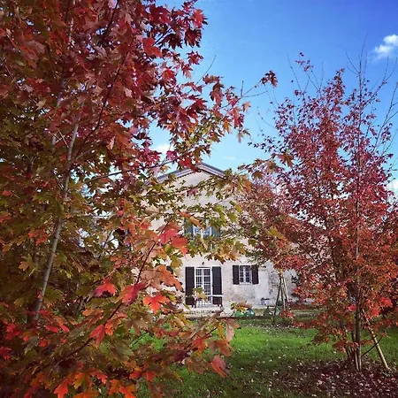 住宿加早餐酒店 Podere Merlo