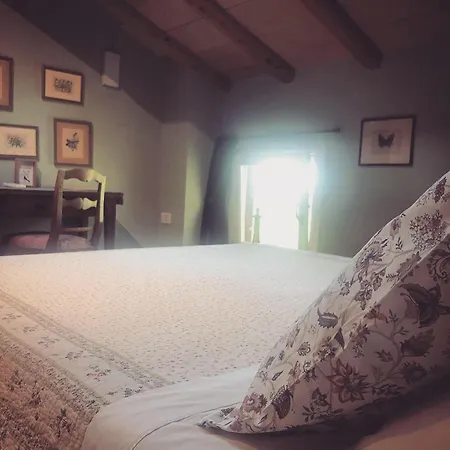 Bed & Breakfast Podere Merlo