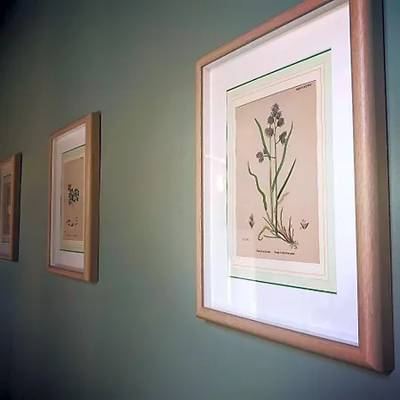 Podere Merlo Bed & Breakfast