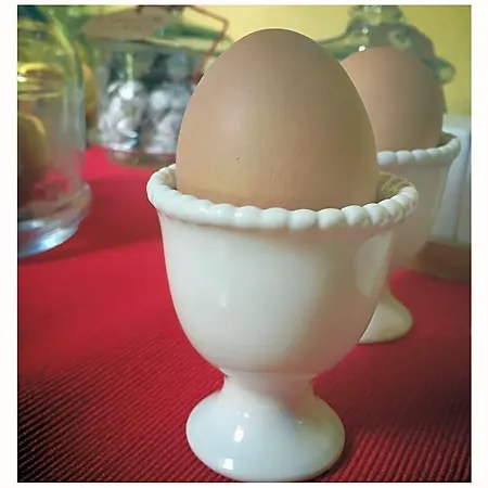 Bed & Breakfast Podere Merlo