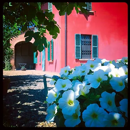 Podere Merlo Bed & Breakfast