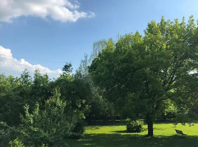 Podere Merlo Bed & Breakfast