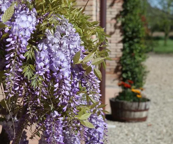 Bed & Breakfast Podere Merlo