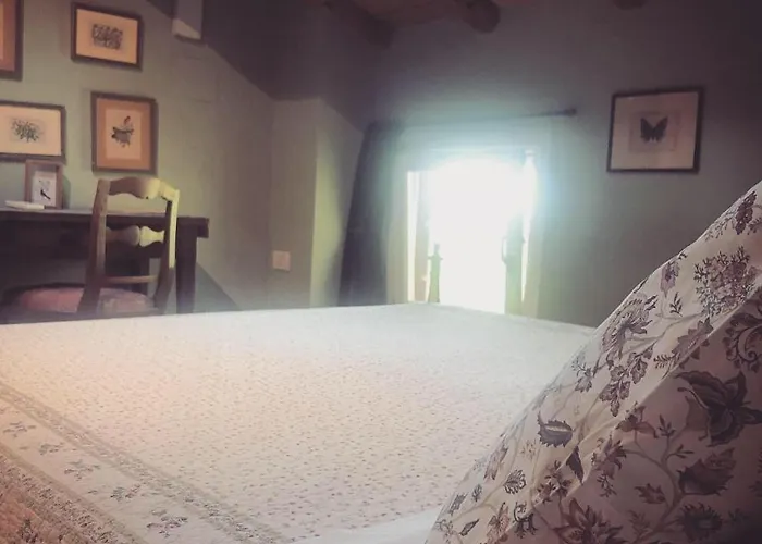 Bed & Breakfast Podere Merlo